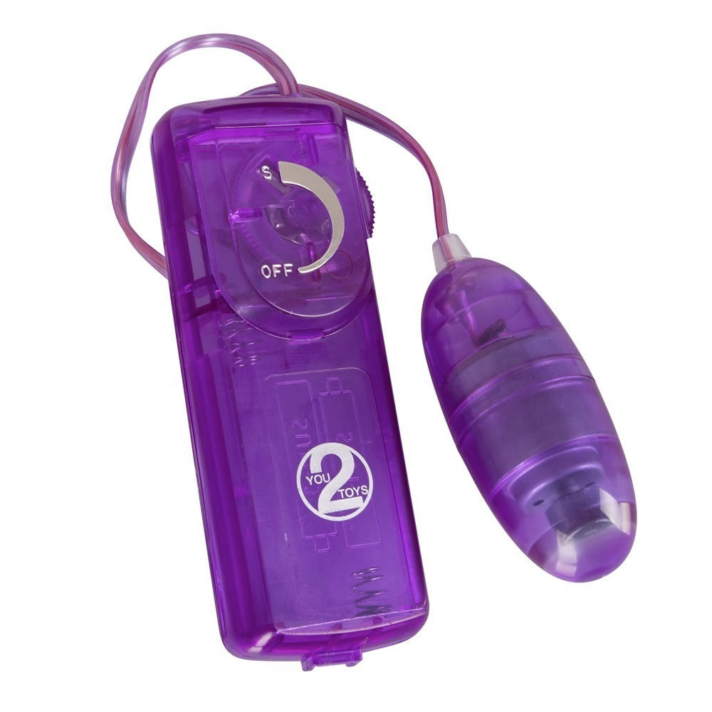 Purple Appetizer Sexlegetøj Sæt med 9 Dele