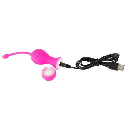 Fjernbetjent Vibrator Æg og Bækkenbundskugler
